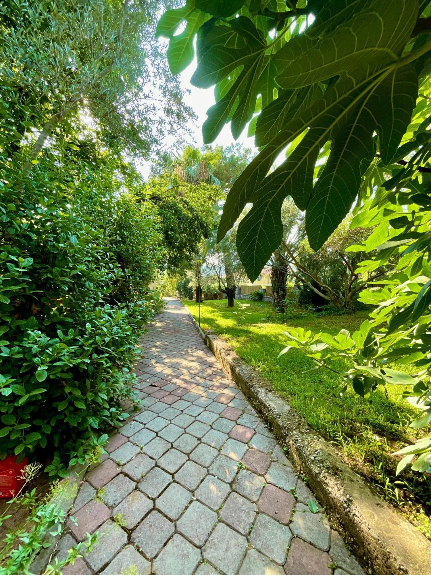 Gunes Boutique Otel Fethiye Eksteriør billede